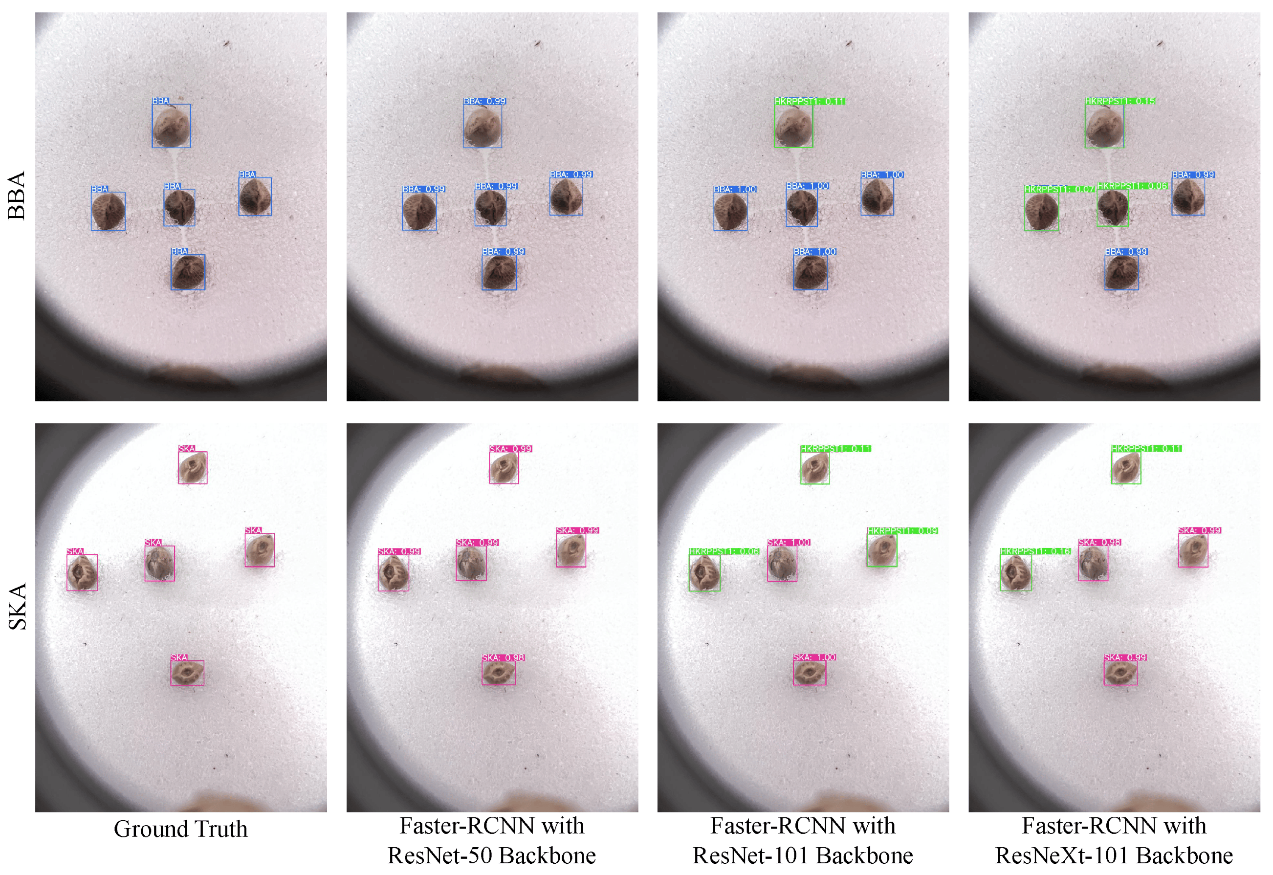 Cannabis Seeds Detection